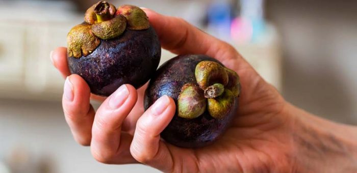 metode de slabit garcinia