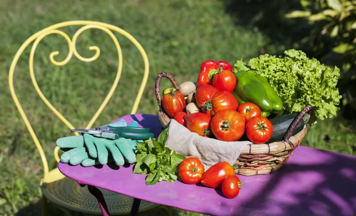 Construiește un strat înălțat de legume