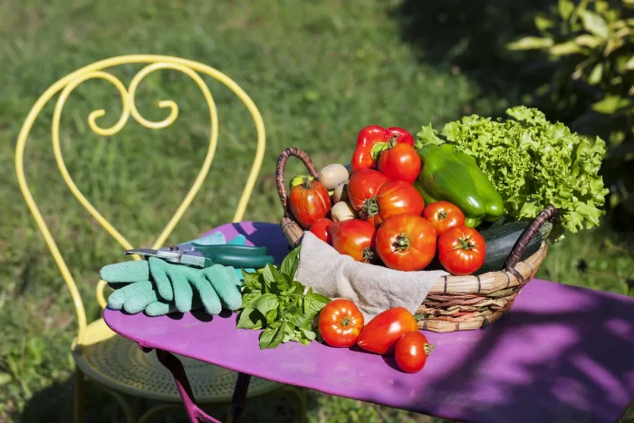 Construiește un strat înălțat de legume